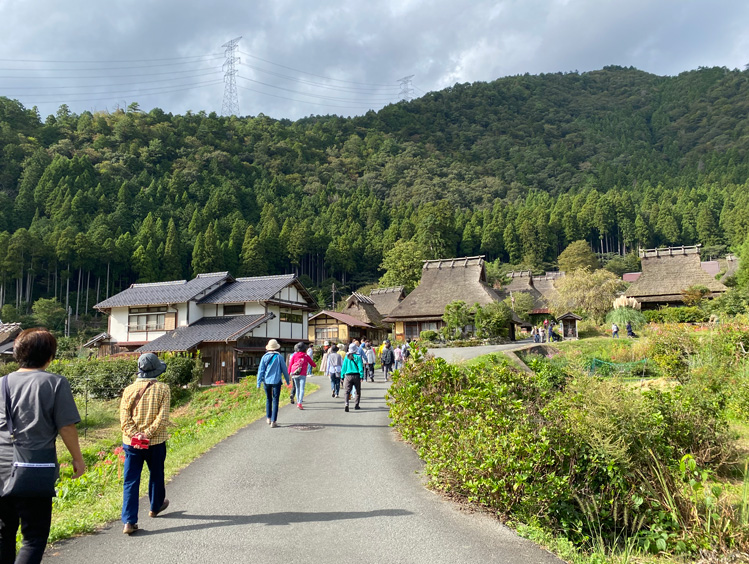 丹波くりひろい体験_散策