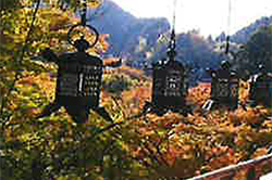 談山神社　名残の紅葉