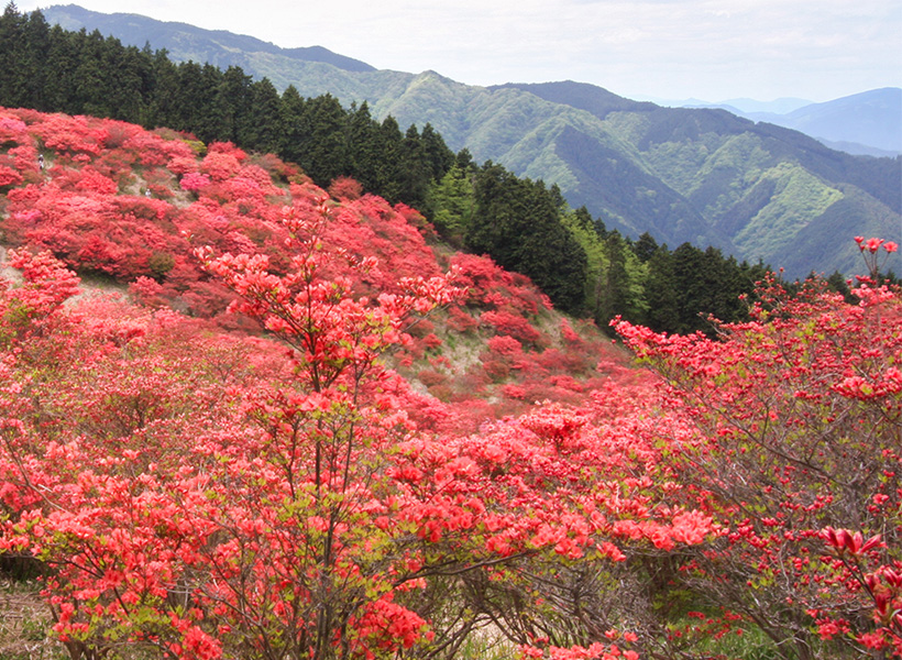 葛城高原ロッジ