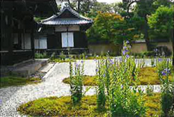 廬山寺「源氏の庭」