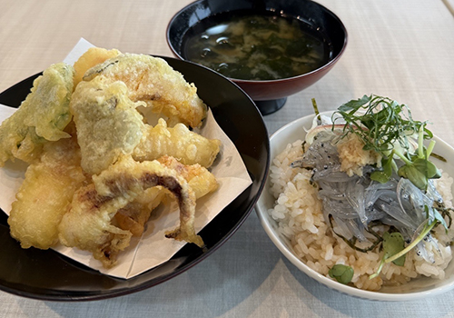 昼食