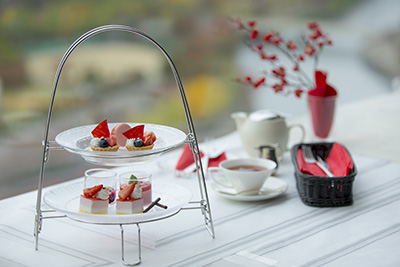 大観苑イメージ